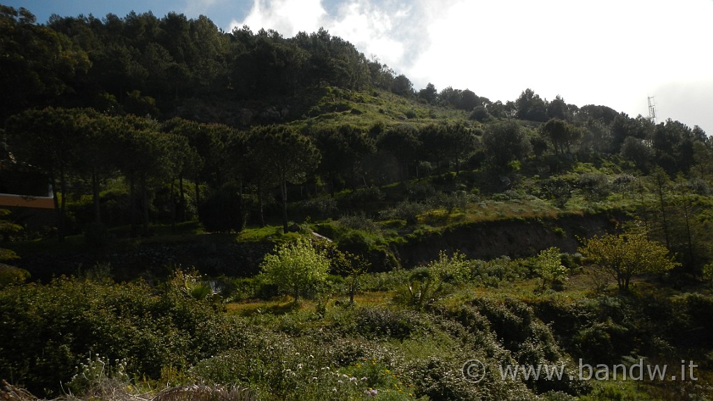 DSCN8734.JPG - La ripida salita verso Monte Sant'Angelo